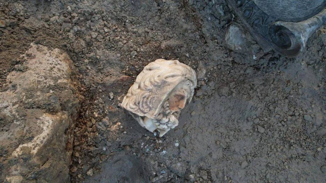 Su birikintisinde bulundu, bir ayağı kesik! Yetkililer harekete geçti, böylesi ilk kez görüldü 12